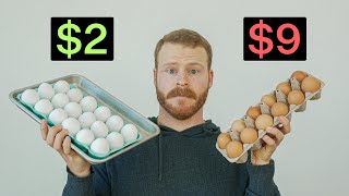 Are Expensive Eggs actually worth it [upl. by Itsym]