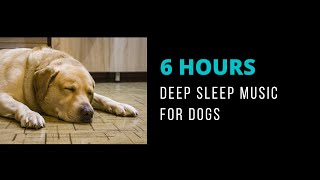 🐶 6 Hours Calming music for dogs during stormsNo Ads  Black Screen [upl. by Ahsiuqal]