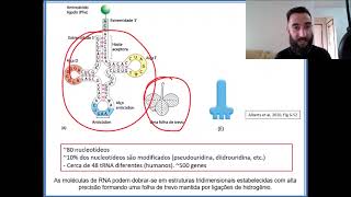 Aula 19  RNA transportador [upl. by Aerol]