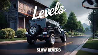 Levels  Sidhu moose Wala  Slow Reverb  Peace vibes [upl. by Martinson]