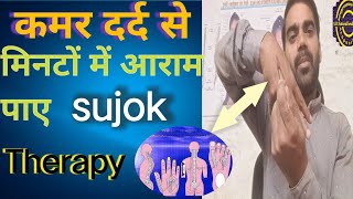 कमर दर्द का इलाज  back pain treatment in sujok therapy [upl. by Etteroma]