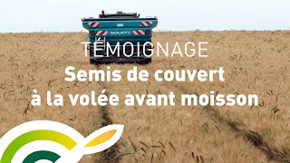 Témoignage agriculteur  semis dun couvert dinterculture à la volée avant moisson [upl. by Namielus99]