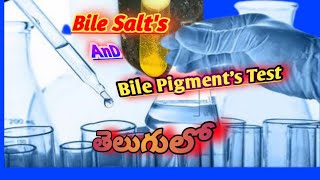 Bile Salts And Bile Pigment Test In TeluguMLTTeluguLab [upl. by Leslee]