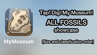 Tap Dig My Museum ALL FOSSILS showcase  size order and classification order  101101 fossils [upl. by Martell]