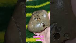 kalki shaligram saligrama laxminarayana gemstone shaligramshortsvideo [upl. by Steep]