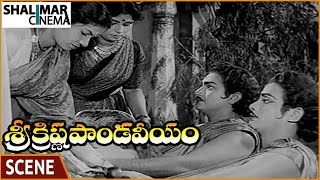 Sri Krishna Pandaveeyam Movie  Pandavas Begging Every House For Food  NTR  శ్రీ కృష్ణ పాండవీయం [upl. by Lockwood]