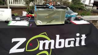 Introducing Zombait  The Swimming Dead [upl. by Naveb525]