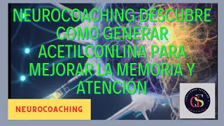 Neurocoaching descubre como la acetilconlina para mejorar la memoria y atencion [upl. by Flor]