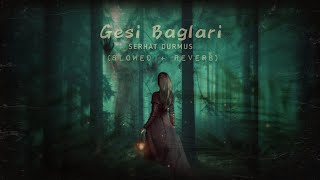 Serhat Durmus  Gesi Baglari Slowed  Reverb [upl. by Lorelie]