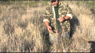 How to snare coyotes and bobcats with Freedom Brand Snare Support [upl. by Erdnoid]