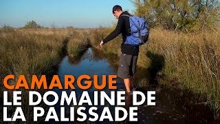 Randonnée Camargue  le Domaine de la Palissade Carnets de Rando 14 HD720p [upl. by Ellerahs]