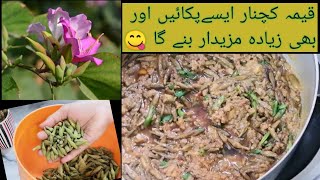 KACHNAR KEEMA RECIPE BY NOSH  قیمہ کچنار پکانے کا طریقہ [upl. by Ayrotal]