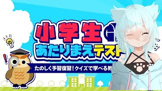 【小学生当たり前テスト】解けないと恥ずかしーいゲーム【新人Vtuber】 [upl. by Isadore]