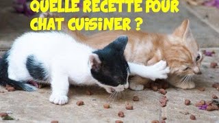 Quelle recette pour chat 🐱 cuisiner vousmême [upl. by Lein]