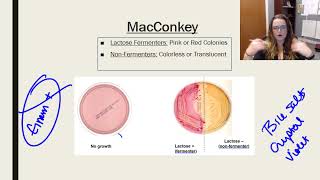 Laboratory tests media and techniques [upl. by Yecrad]