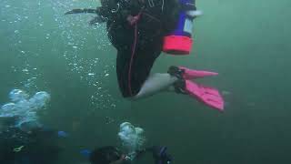 Simulating Diver with Paraplegia HSA [upl. by Therine]