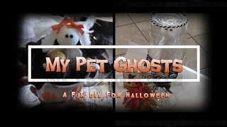 HALLOWEEN DIY The Cutest Halloween DIY Ever My Pet Ghost You Have To Make One [upl. by Ainorev]