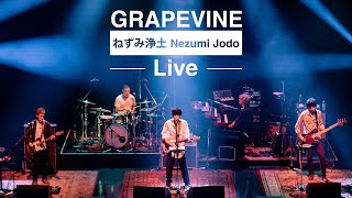 GRAPEVINE  ねずみ浄土 Live at Zepp DiverCity 20210708 [upl. by Lilac844]