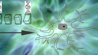 Bioelectricity Morphology amp Electroceuticals  Electricity of Life [upl. by Karli]