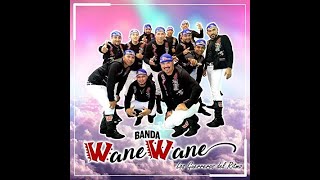 Banda Wane Wane  La Ingenua [upl. by Knutson853]