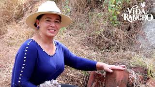 La historia de mi madre en el rancho donde nació y creció allá lejos de todo [upl. by Susy798]