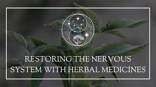 Restoring the Nervous System with Herbal Medicines [upl. by Tychonn488]