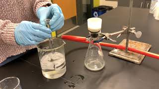 Recrystallizing and using melting point to identify a compound [upl. by Yalhsa]