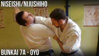 NiseishiNijushiho Bunkai  7a Oyo Haito uchi haishu age uchi koko kuzushi awase zuki [upl. by Eanore]