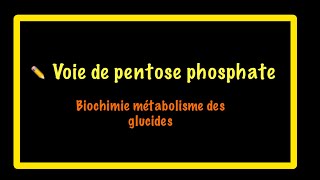 Voie de pentose phosphate VPP Biochimie [upl. by Raymonds843]