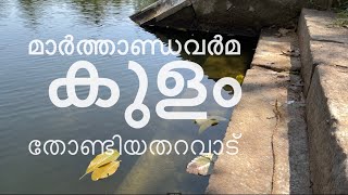 എട്ടു വീട്ടിൽ പിള്ളേയുടെ തറവാട് ettuveetil pillamarheritage kerala hindu house [upl. by Houghton]