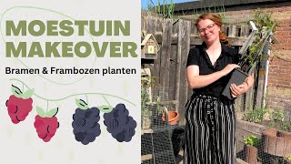 Moestuin MAKEOVER  Bramen amp Frambozen planten [upl. by Hadwyn]