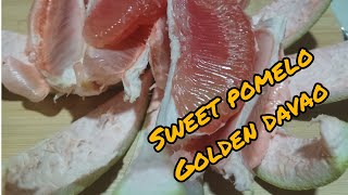 Lets peel pomelo yummy peeling satisfying reverse [upl. by Kirchner771]