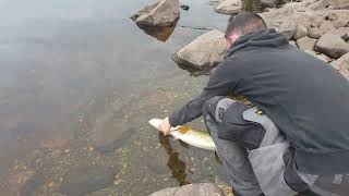 Loch Clatteringshaws 15lb Pike🐊 [upl. by Herzen]