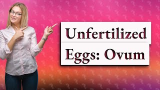 What is an unfertilized egg called in humans [upl. by Sauers]