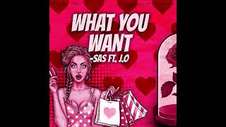 What You Want  SAS feat JO Official Audio [upl. by Enelhtac]