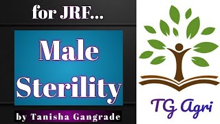 Male sterility  3 line system of Hybrid seed production for JRF by Tanisha Gangrade [upl. by Htabazile]