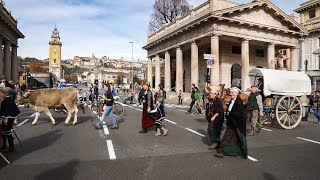 La Transumanza dei Bergamì in centro Bergamo  29102017 Valle Brembana [upl. by Coulombe]