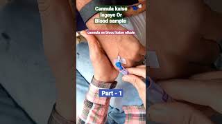 cannula se blood kaise nikale blood collection method  cannula insertion technique shorts [upl. by Caughey]