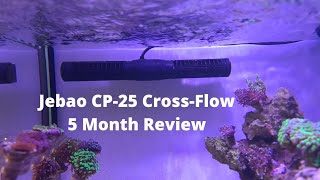 JebaoJecod CP25 Cross Flow Gyre  5 Month Review and XL200 Update [upl. by Changaris681]