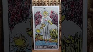 Temperance Tarot Meaning wisdom expansion journey angels majorarcana sagittarius patience [upl. by Tasha694]