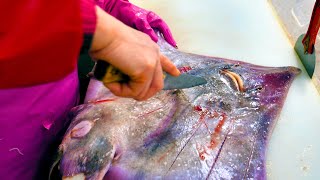 홍어찜 홍어회 Amazing cute fish cutting amp Seasoned Skate seafood  Korean food [upl. by Orofselet123]