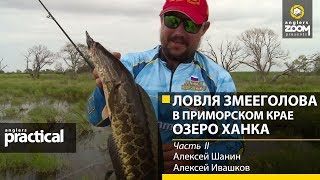 Ловля змееголова в Приморском крае Озеро Ханка А Шанин А Ивашков Часть 2 Anglers Practical [upl. by Lilith]