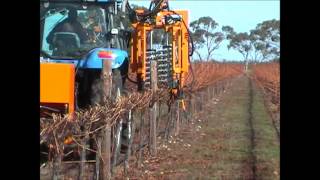 Pellenc TRV60 with Visio Pruning Machinewmv [upl. by Enelyaj]