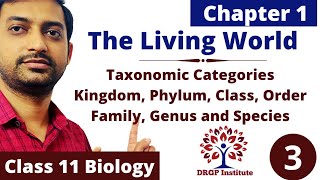 Chapter 1  The Living World  Taxonomic Categories  Taxon  Class 11 Biology RBSE CBSE  Part3 [upl. by Willi]