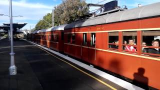 Sydney Trains Panania Station [upl. by Lienahs447]