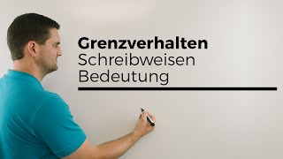 Grenzverhalten Grenzwert Was ist Was Teil 1 Schreibweisen Bedeutung  Mathe by Daniel Jung [upl. by Aimahs]