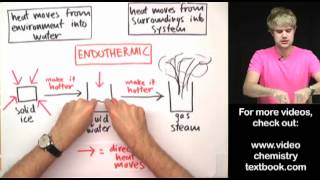 Phase Changes Exothermic or Endothermic [upl. by Acirema867]