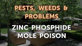 Zinc Phosphide Mole Poison [upl. by Esetal]