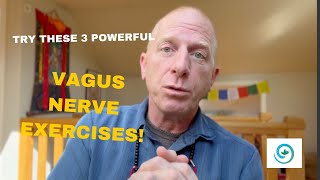 Vagus Nerve Exercises For Healing and Wellbeing [upl. by Dollar]