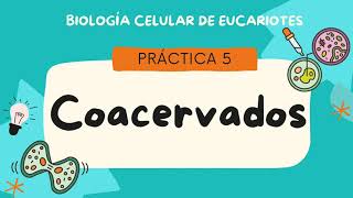 VIDEO INTRODUCTORIO PRACTICA Coacervados [upl. by Terzas]